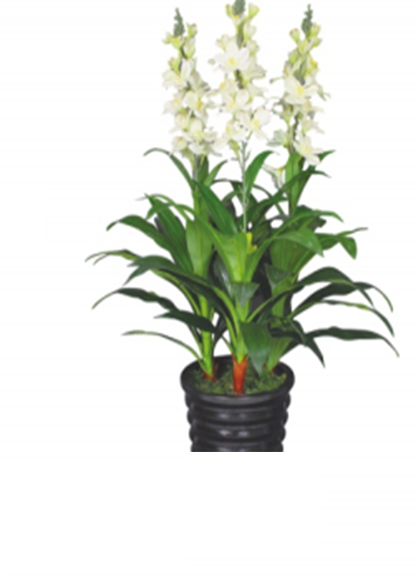 Mākslīgais augs JWS2447