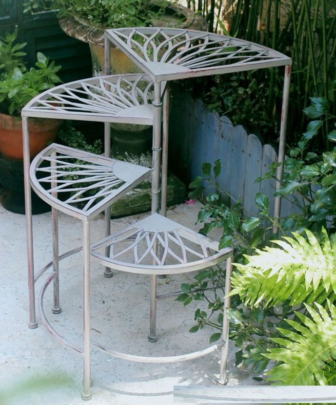 Dārza puķu plaukts XA07088