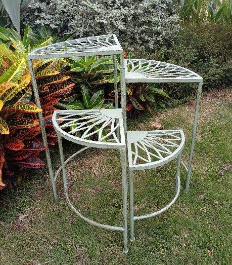 Dārza puķu plaukts XA07089