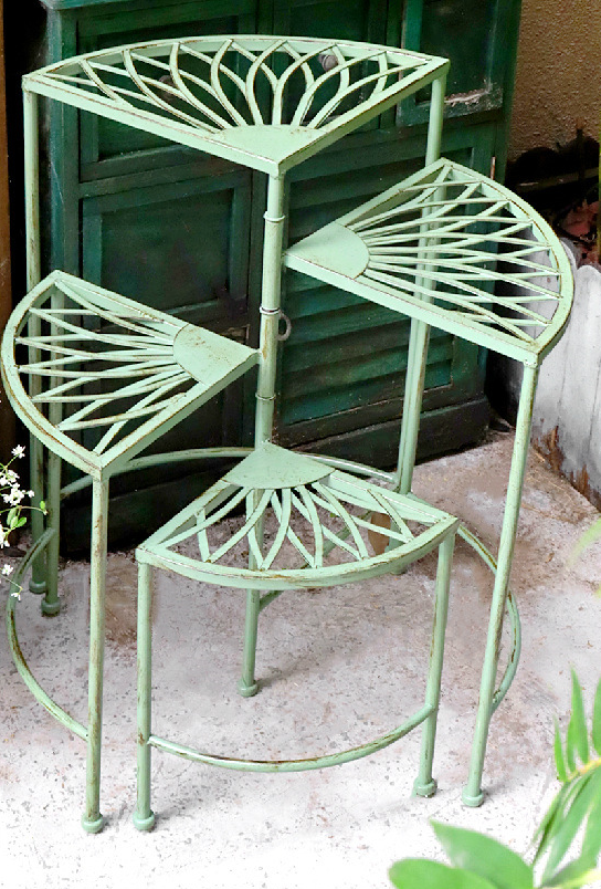 Dārza puķu plaukts XA07089