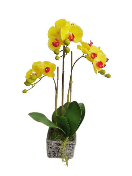 Mākslīgā ORHIDEJA