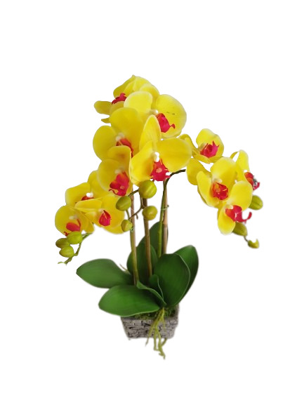 Mākslīgā ORHIDEJA